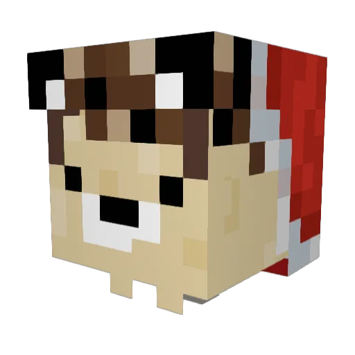reiddo Minecraft avatar head, 3D render
