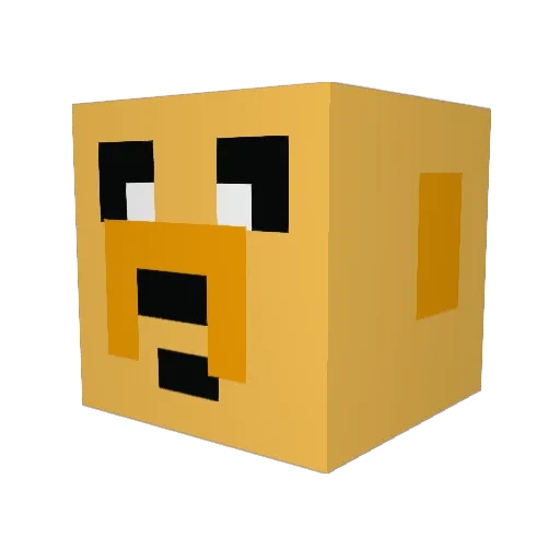 reidenbaugh11 Minecraft avatar head, 3D render