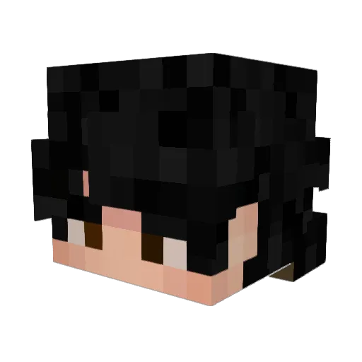 reidonn Minecraft avatar head, 3D render