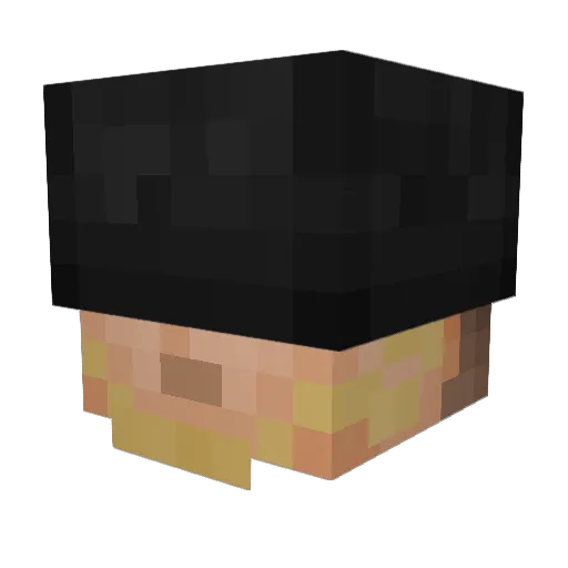 reidy1008 Minecraft avatar head, 3D render