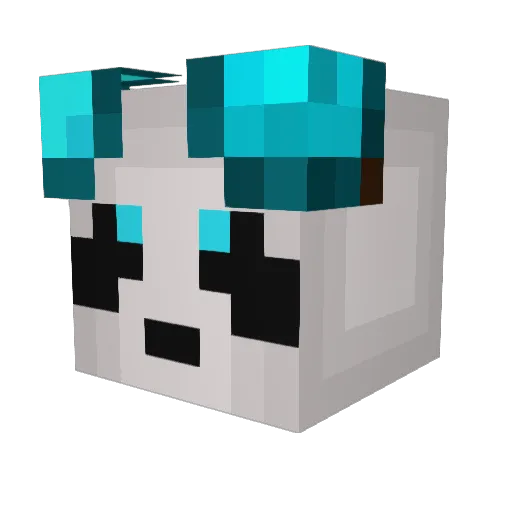 reidyyyyy Minecraft avatar head, 3D render