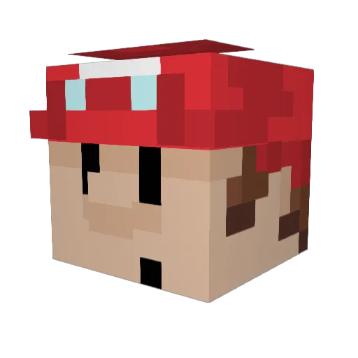 reigee Minecraft avatar head, 3D render