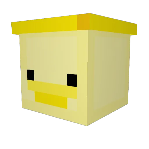 reign1711 Minecraft avatar head, 3D render