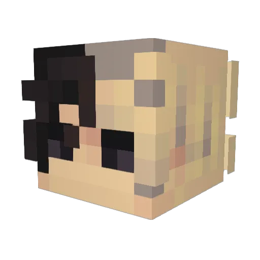 reigncnn Minecraft avatar head, 3D render