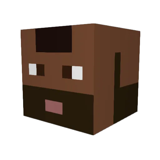 reiguy13 Minecraft avatar head, 3D render