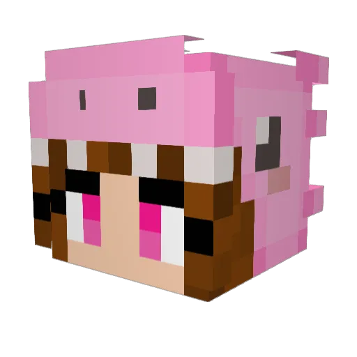 reiinaaa Minecraft avatar head, 3D render