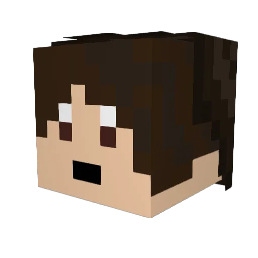 reiisinuse Minecraft avatar head, 3D render
