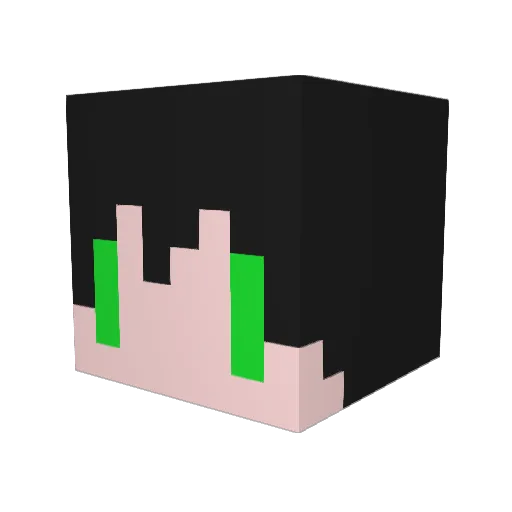reiji0128 Minecraft avatar head, 3D render