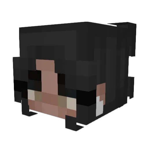 reilly4567 Minecraft avatar head, 3D render