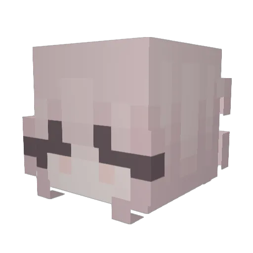 reillyxox Minecraft avatar head, 3D render