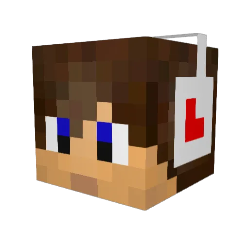 reima199 Minecraft avatar head, 3D render