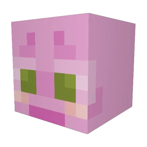 reina_ttv Minecraft avatar head, 3D render