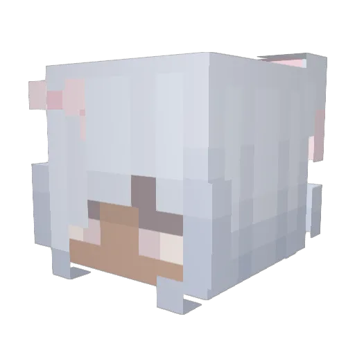 reinaline Minecraft avatar head, 3D render
