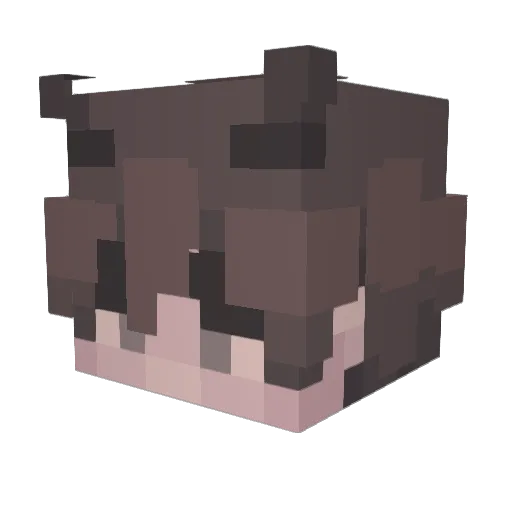 reincarnation_12 Minecraft avatar head, 3D render