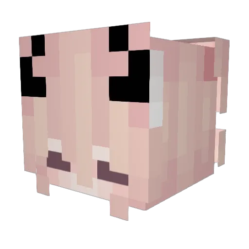 reindeer1314 Minecraft avatar head, 3D render