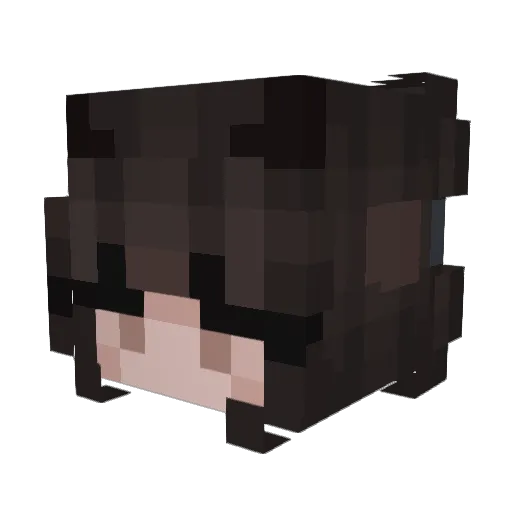 reinidkman Minecraft avatar head, 3D render