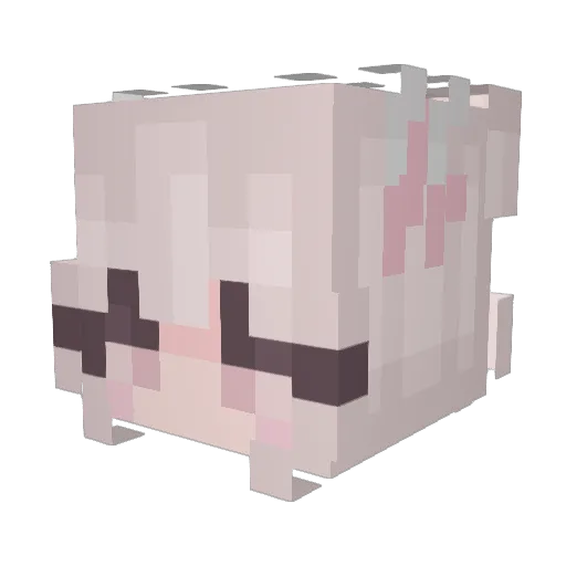 reinings Minecraft avatar head, 3D render