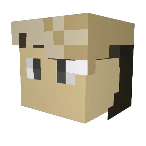 reinintrus Minecraft avatar head, 3D render