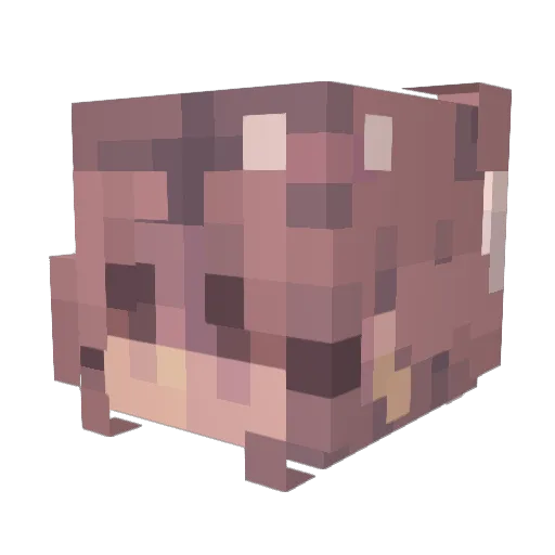 reiny17 Minecraft avatar head, 3D render