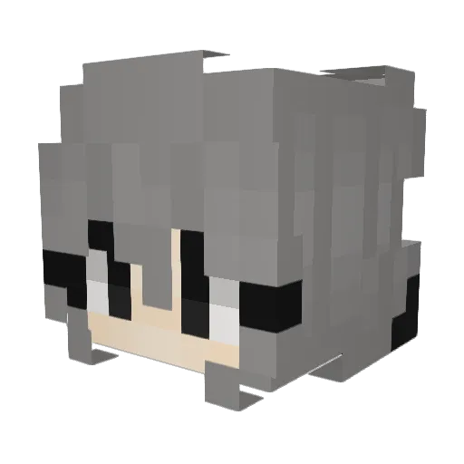 reirei__ Minecraft avatar head, 3D render