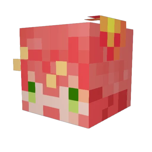 reirus Minecraft avatar head, 3D render