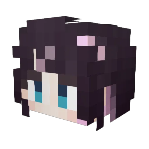 reishuni Minecraft avatar head, 3D render