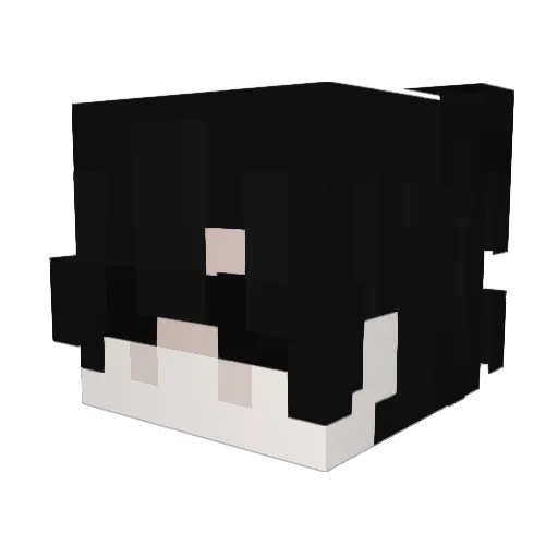 reismoruk Minecraft avatar head, 3D render