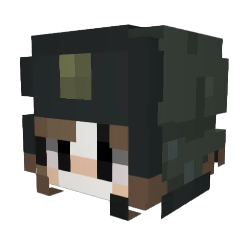reisnowz Minecraft avatar head, 3D render