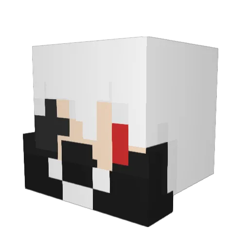 reisuta12 Minecraft avatar head, 3D render