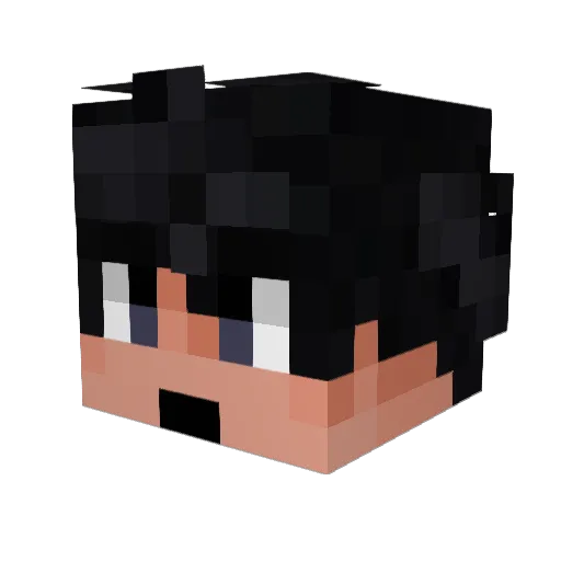 reisx_ Minecraft avatar head, 3D render