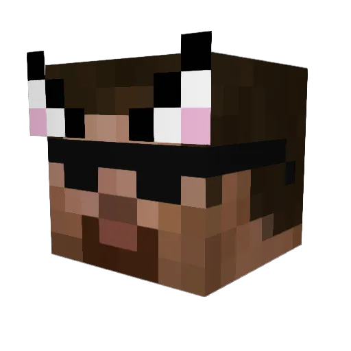 reiteor Minecraft avatar head, 3D render