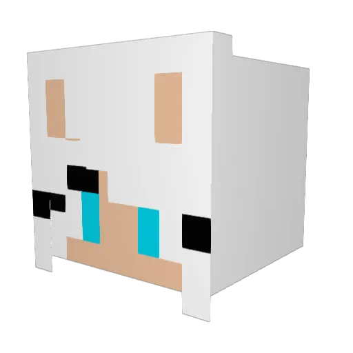reiu1218 Minecraft avatar head, 3D render