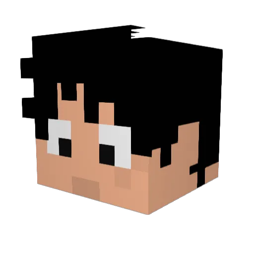 reiwarawara Minecraft avatar head, 3D render