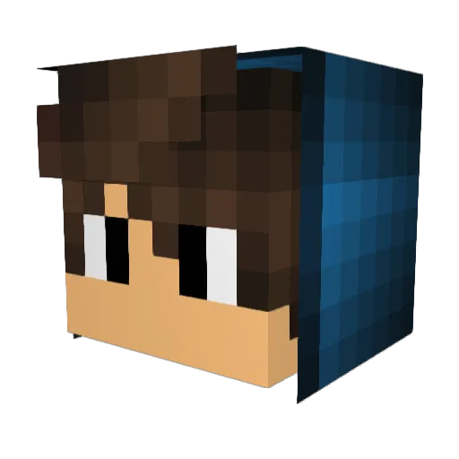 reixichi Minecraft avatar head, 3D render
