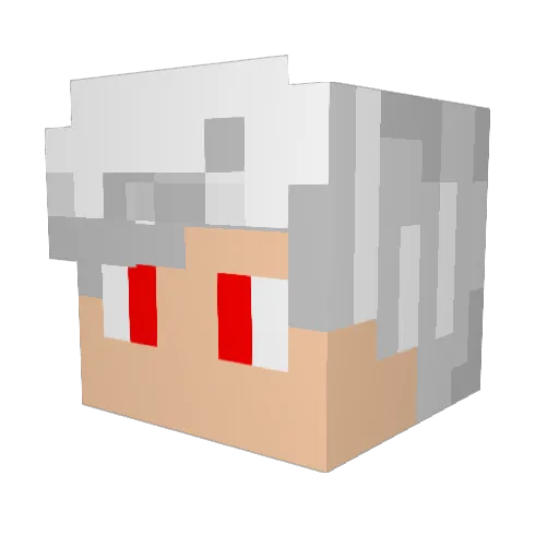 reizer1 Minecraft avatar head, 3D render