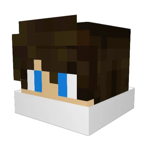 rejmik Minecraft avatar head, 3D render