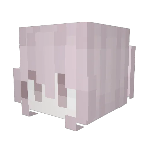 rejz_ Minecraft avatar head, 3D render