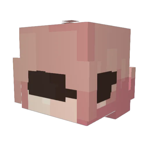 rejze23 Minecraft avatar head, 3D render