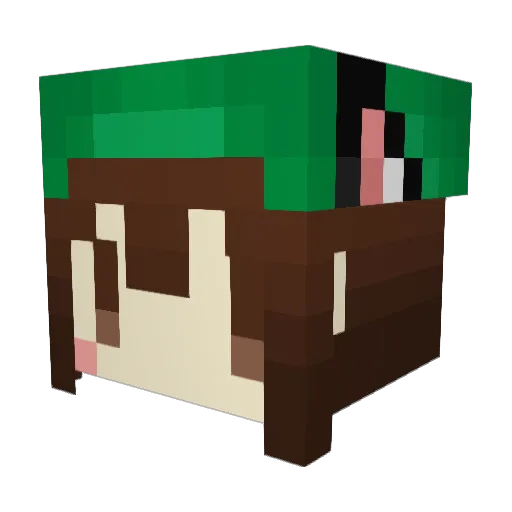 rekiu Minecraft avatar head, 3D render