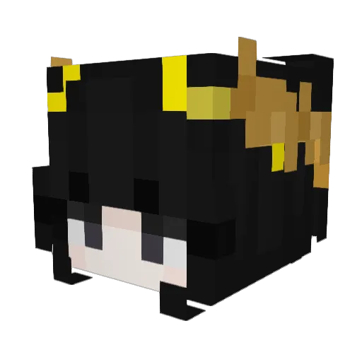 rekt_hi Minecraft avatar head, 3D render