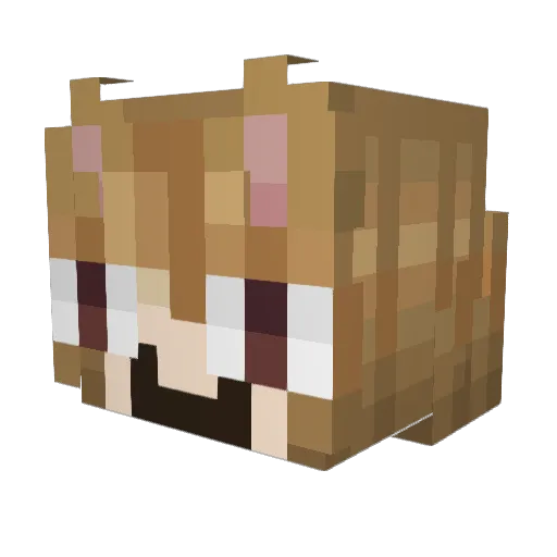 relapsee_Icebc0 Minecraft avatar head, 3D render