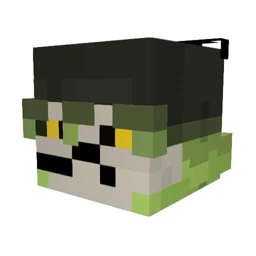 release_jayauto Minecraft avatar head, 3D render