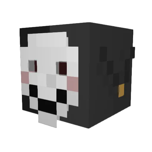 reliquaryjester Minecraft avatar head, 3D render