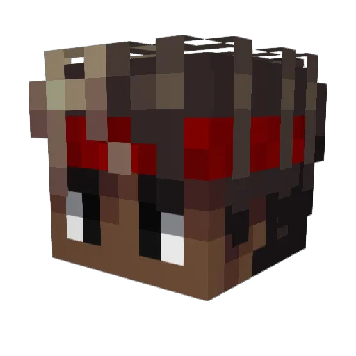 reloon Minecraft avatar head, 3D render