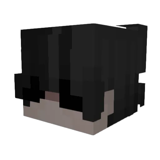 relula Minecraft avatar head, 3D render