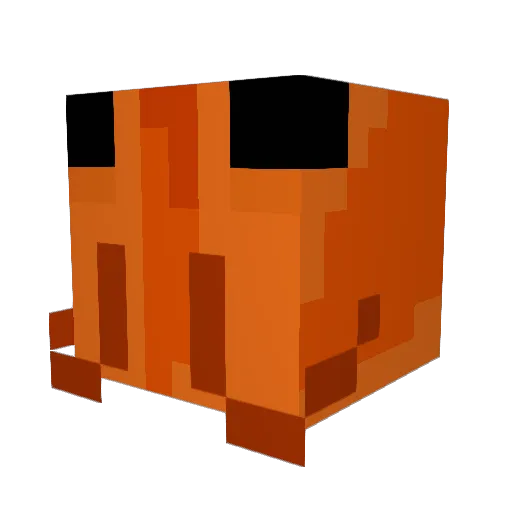 remcatcher Minecraft avatar head, 3D render