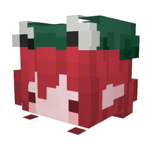 remiibyte Minecraft avatar head, 3D render