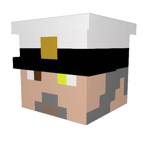 remixD07 Minecraft avatar head, 3D render
