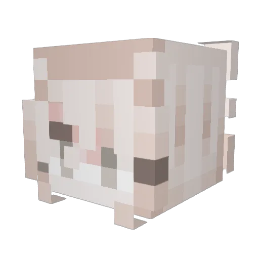 remkins Minecraft avatar head, 3D render