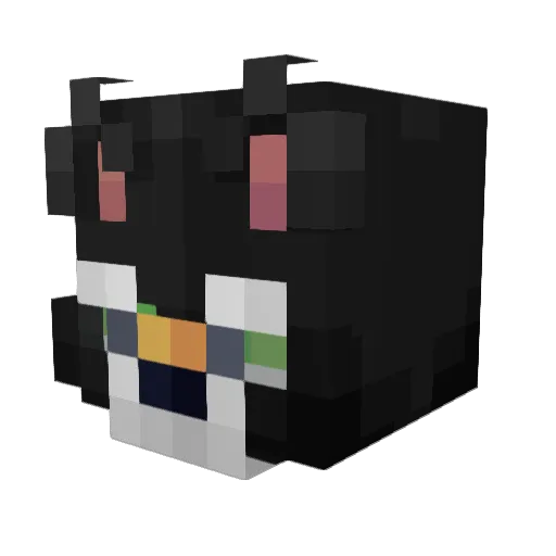 remontea1325 Minecraft avatar head, 3D render